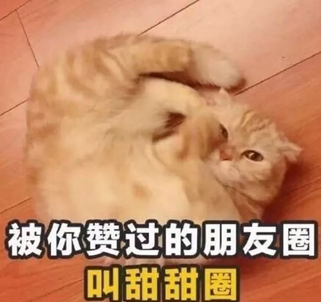 世界杯特色土味情话（世界杯“土味情话”爆红，或许你也迷上了C罗）