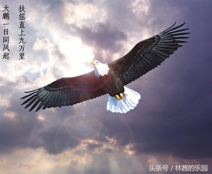 霸气十足、傲骨铮铮的12句诗词，充满正能量，你最喜欢哪一句？