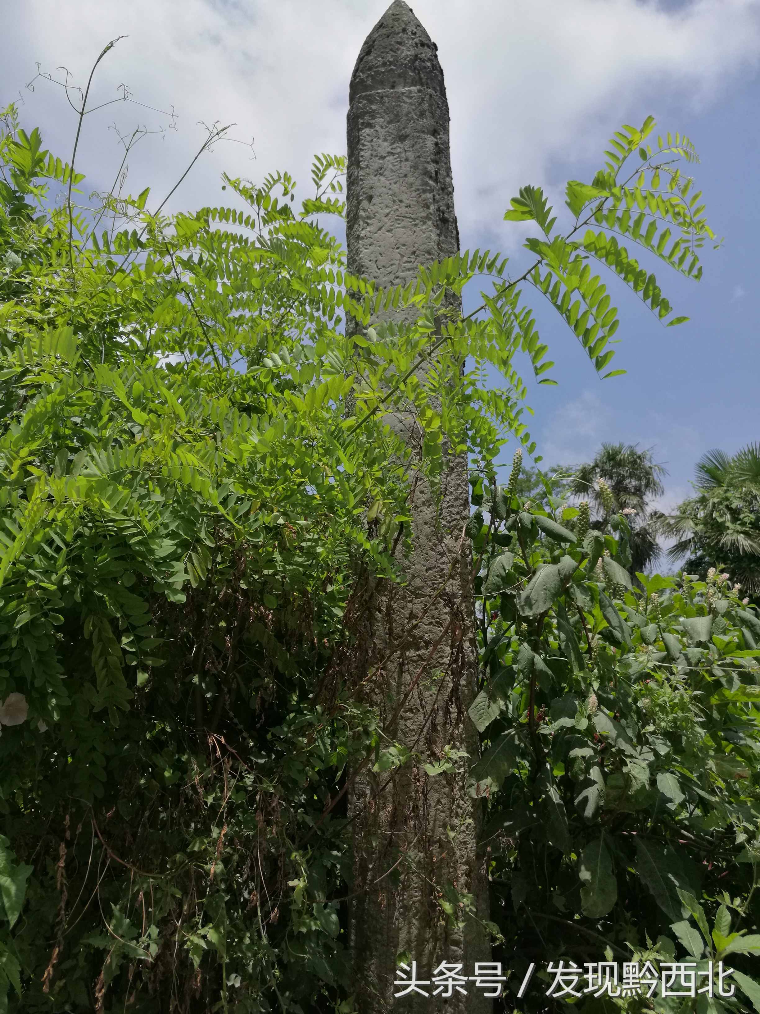 发现黔西北｜贵州状元之乡大方县牛场乡，先后考取北大清华十余人