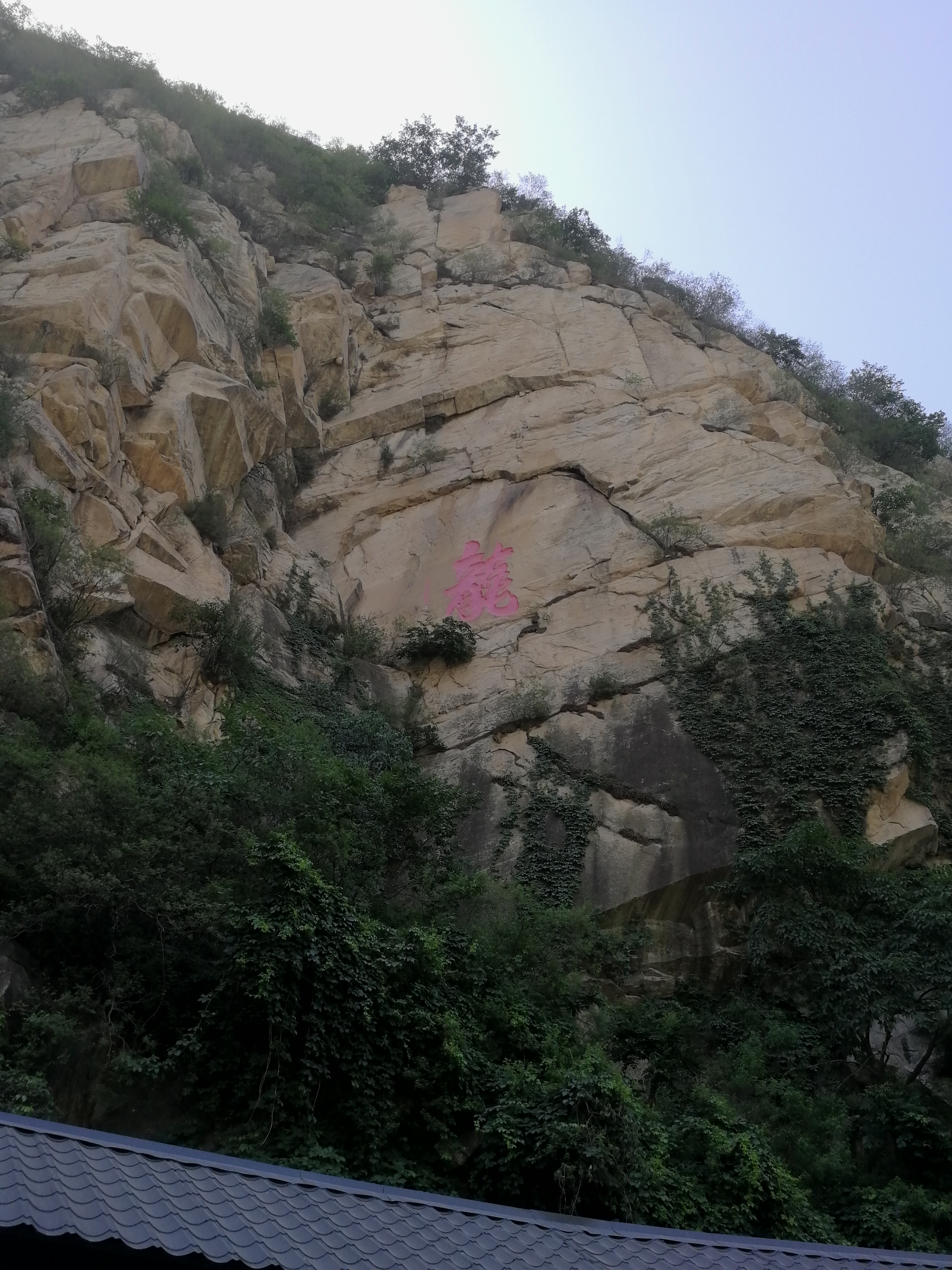 “年年岁岁花相似，岁岁年年人不同”有几人知出自哪里？