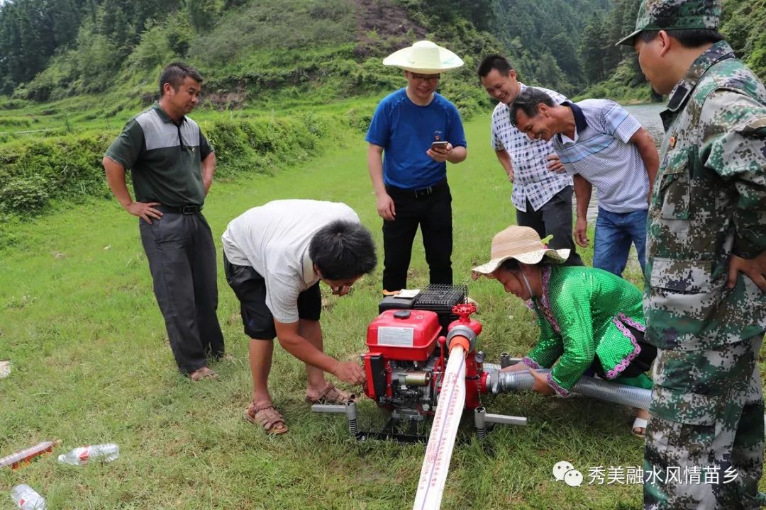 乡镇快讯丨融水镇、红水乡、拱洞乡、安太乡、安陲乡