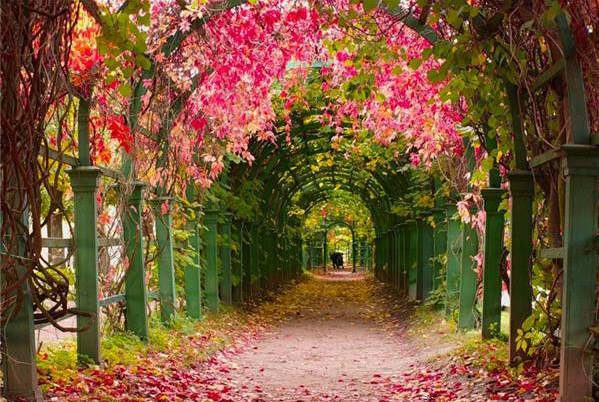 世界杯为什么在俄罗斯（与C罗一起探寻4年一次的世界杯，为什么幸临俄罗斯？）