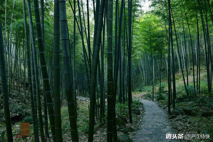 微言细语说说人：做人处事只顾自己的利益，反而会失去利益