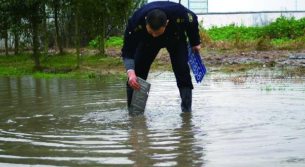 暴雨后路面遗落一堆车牌，交警提醒：用错螺丝要扣12分！