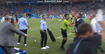 2018世界杯瑞典队长（您说啥？据说这是瑞典队长得知德国出局的反应）