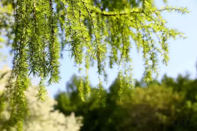 烈日当空，寻一处风景，品一份清凉！