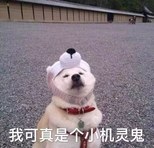 世界杯特色土味情话（「世界杯土味情话了解一下」，看球撩妹两不误）