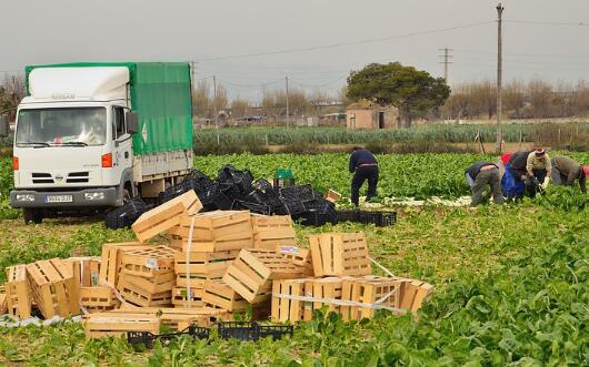 农业贷款怎么申请？个体户、合作社、家庭农场、小微企业申请条件