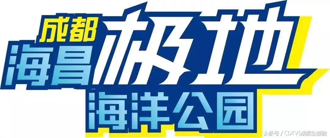 成都海昌极地海洋公园世界杯(成都人的世界杯（十一）：努力了八十年 就为和你在世界杯上对决)