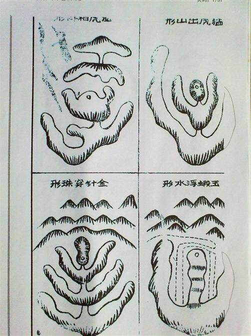 飞凤饮水形风水图片