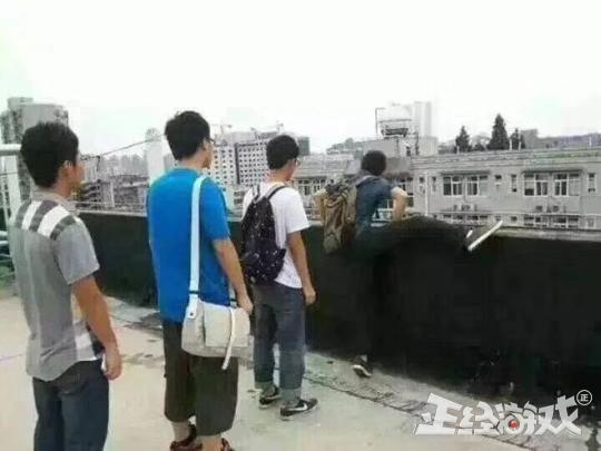 一条狗咬苹果猜世界杯(一看吓一跳：雷死人不偿命的囧图集(380))