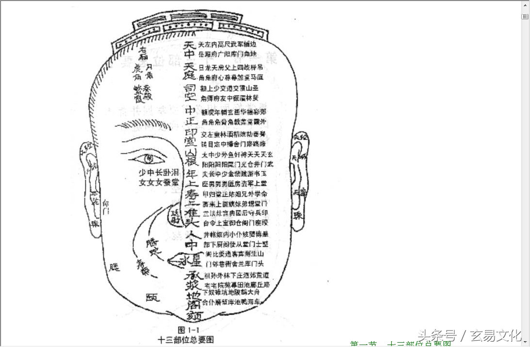 面相教学1:天中,天庭,司空,中正,印堂,山根,年上,寿上