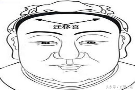 面相教学2:面相十二宫及详注