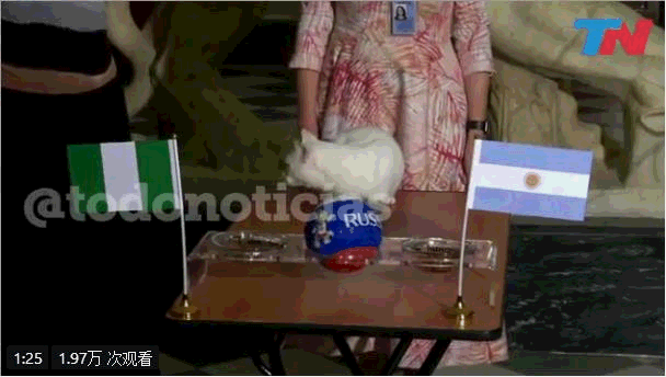 神兽预测世界杯（世界杯官方神兽第5次预测：阿根廷被淘汰！前4次全部命中）