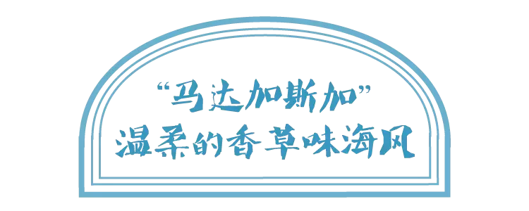 世界杯比利时巧克力千层(布歌东京又出新品啦！一口入魂带你穿梭日本、比利时、马达加斯加)