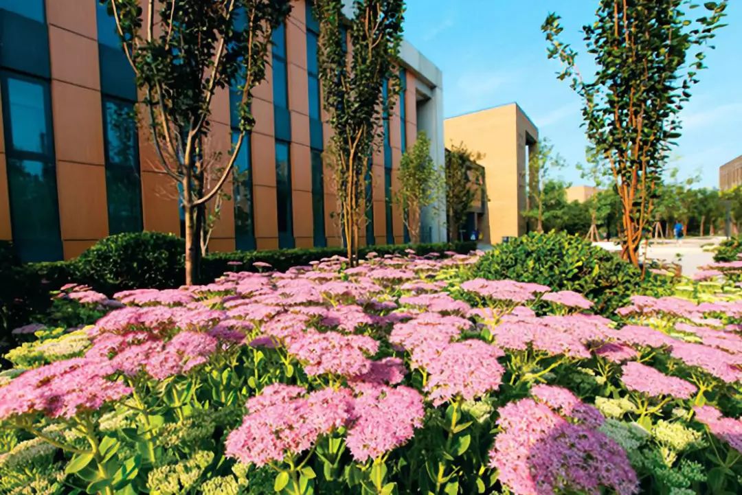 财经院校中的黄埔军校——中央财经大学