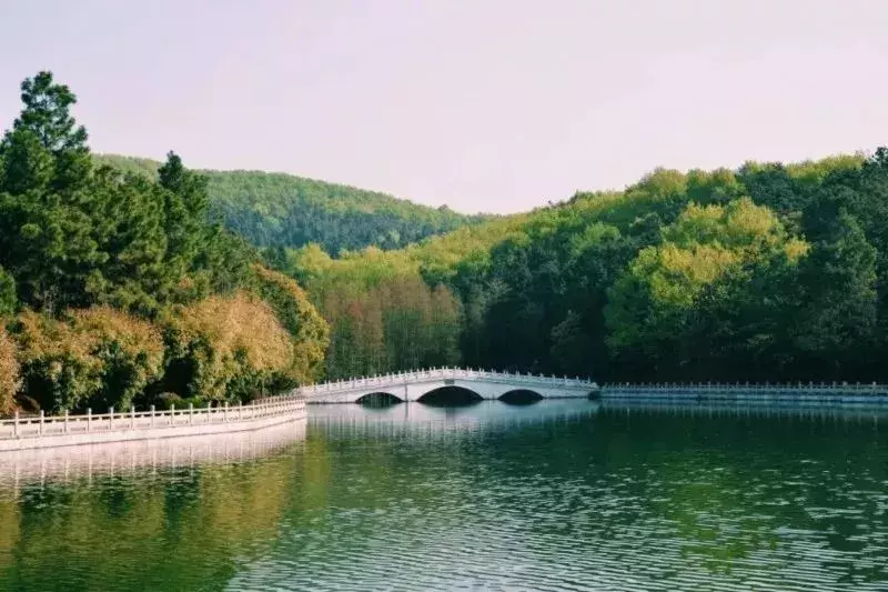 武汉东湖飞鸟世界杯在哪(武汉考生们，准考证千万别扔了！多个精选热门景区可免费或打折！)