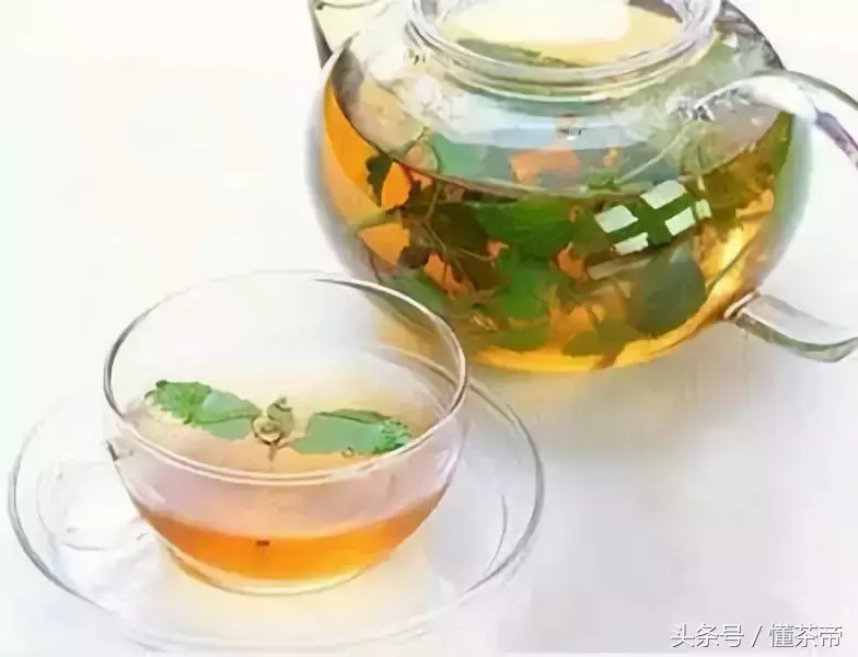 世界杯喝的什么茶(熬夜看世界杯怕伤身，这几种茶快喝起来！)