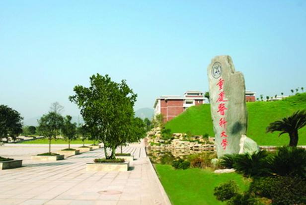 重庆最好的10所大学，西南政法大学只排第三，重庆科技学院上榜！