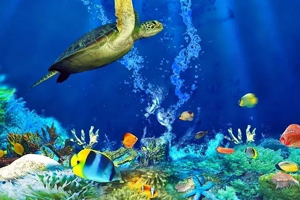 喂喂!高考准考证别丢了!凭证可以免费游全国……