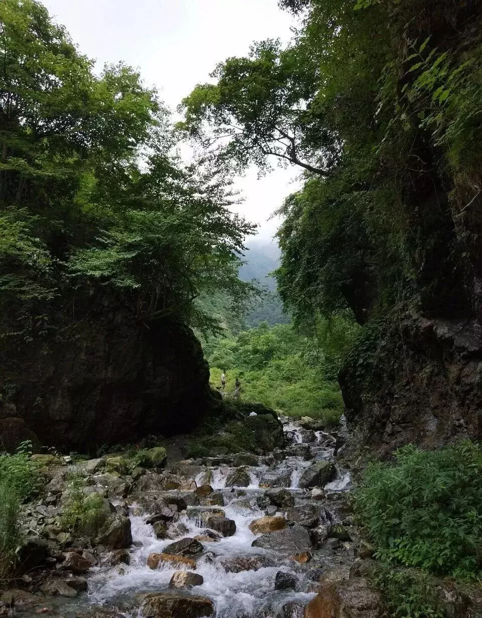 逃离30℃的成都，周边8大清凉避暑地盘点！个个都有颜又有料！