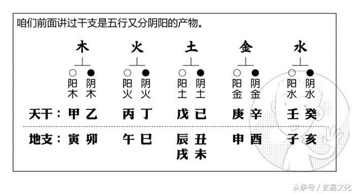 天干的五行分類與陰陽