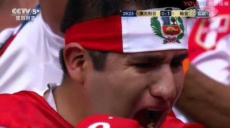 世界杯冰岛胜利庆祝（最重要是开心！他们这样庆祝，不像是输球或出局的球队）