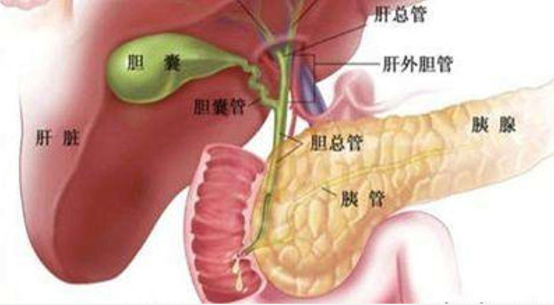 世界杯看球突发疾病(烧烤啤酒小龙虾，男子看球归来突发腹痛，最后进了ICU)