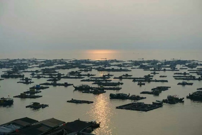 高铁开通了～游遍海陵岛闸坡~最新环岛攻略