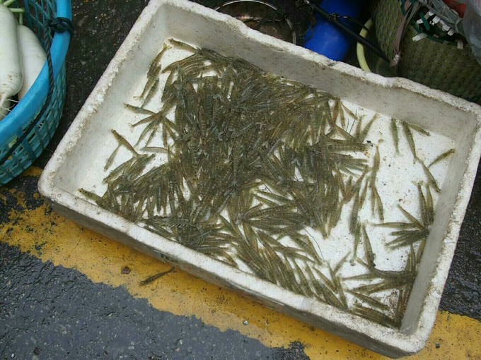 高铁开通了～游遍海陵岛闸坡~最新环岛攻略