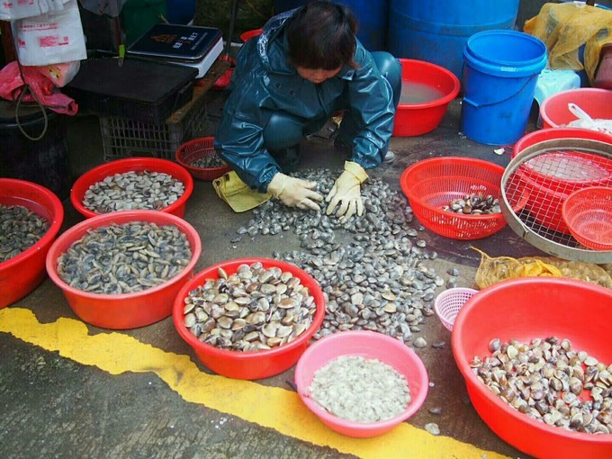 高铁开通了～游遍海陵岛闸坡~最新环岛攻略