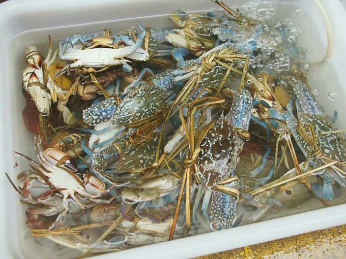 高铁开通了～游遍海陵岛闸坡~最新环岛攻略