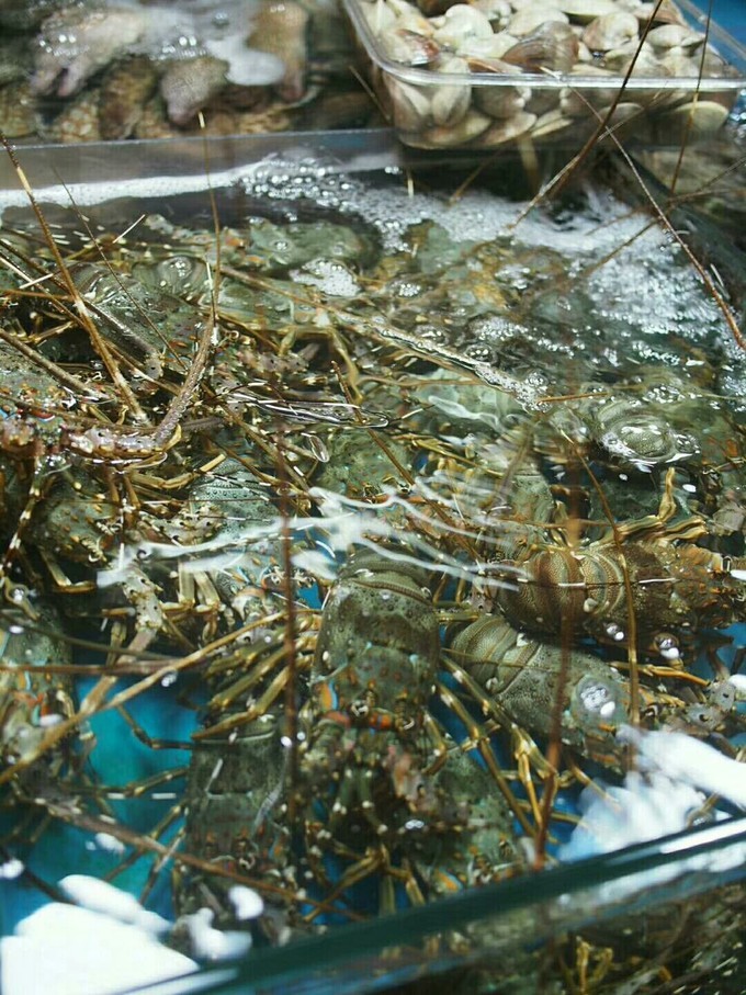 高铁开通了～游遍海陵岛闸坡~最新环岛攻略