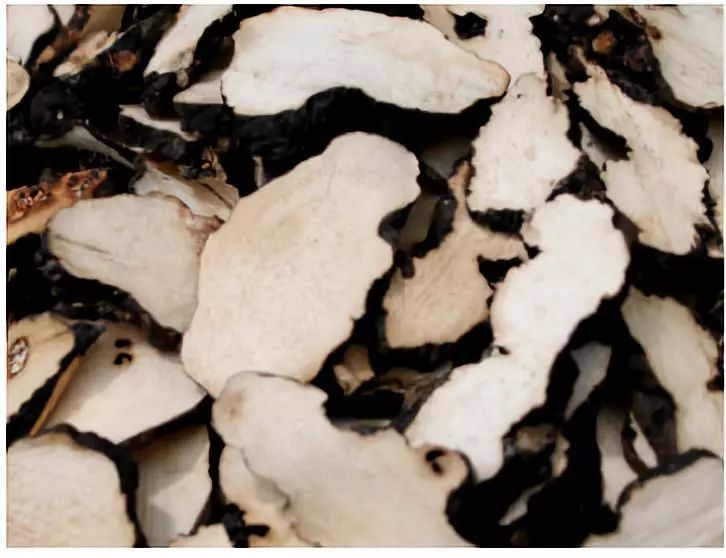 中药知识必学:猪苓