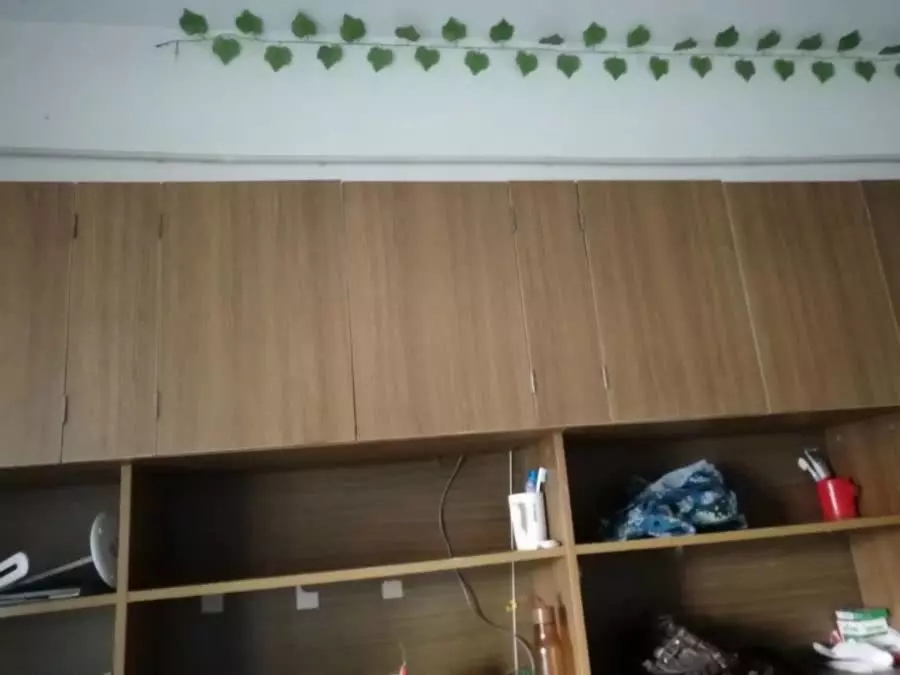 大学宿舍条件有多重要？16所大学宿舍的真实环境！