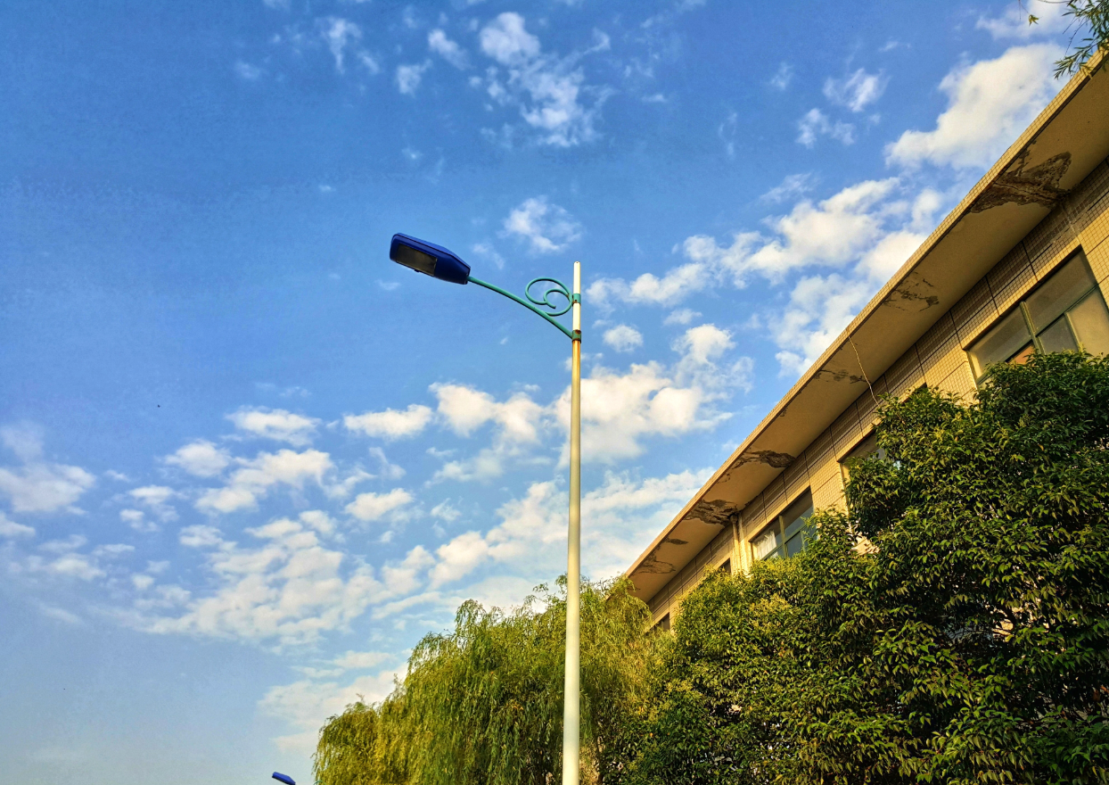 基因强悍！这些“学术达人”、“科研达人”、“竞赛达人”都出自这所211高校？