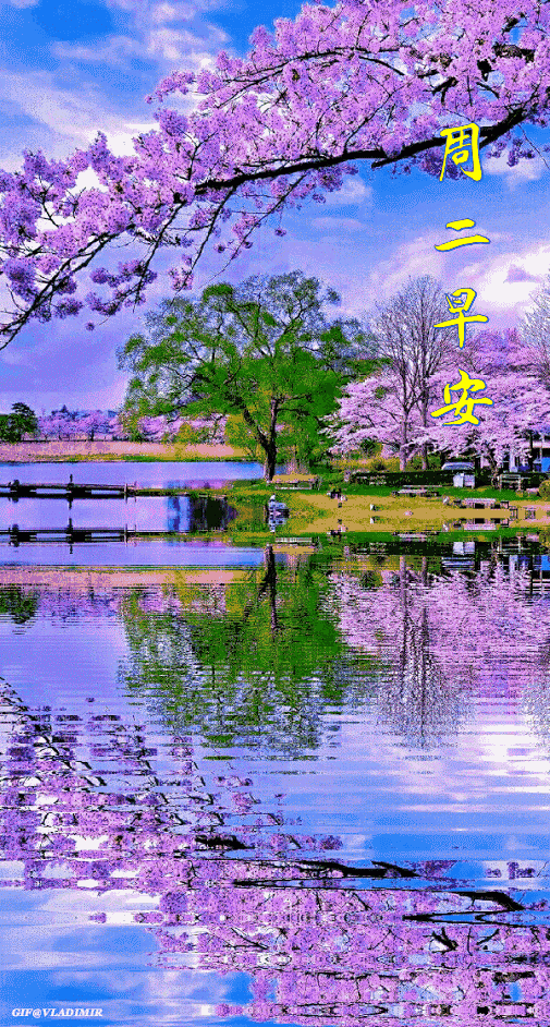 7,3星期二,最美好的祝福送给您,祝您吉祥如意幸福安康!