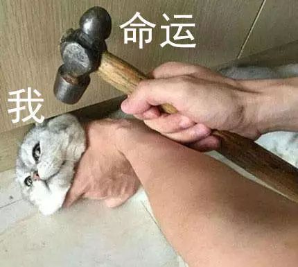 世界杯毒奶是什么意思(微出现「世界杯毒奶榜」,球迷简直在用生命为
