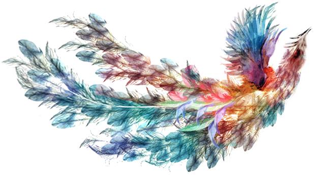 这个名字和鸳鸯一样,是有性别含义的.