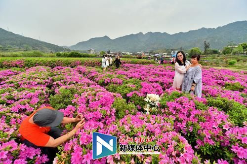 以“壮士断腕”的决心叫停支柱产业！罗源县绿色发展迈出新步伐