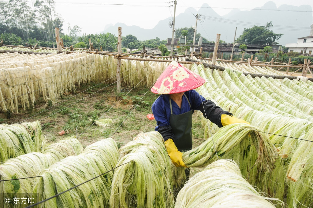 剑麻有什么用途(剑麻价格一吨多少元)-友友