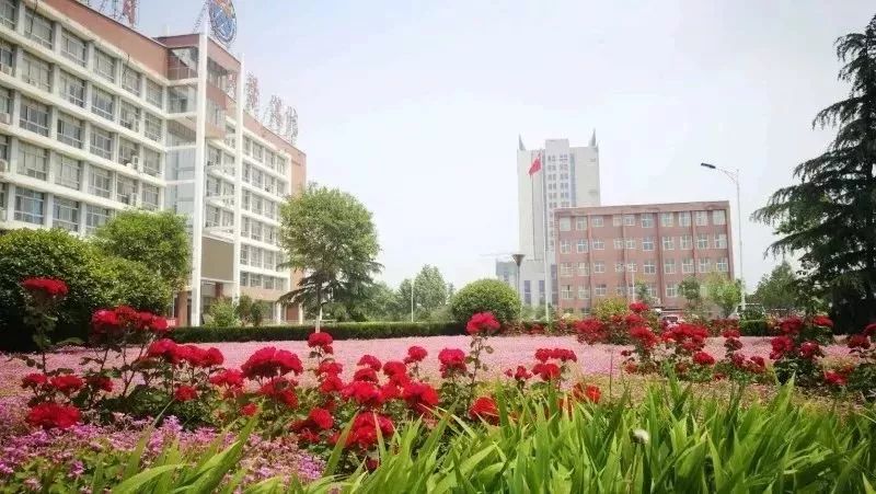 郑州邮政编码是多少 怎么查自己的邮政编码-有深度有内涵的一个小网站