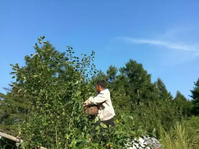 东方水刘家附近球类馆(长春周边20家山庄大汇总，有山有水有树林，吃喝玩乐全都有！)