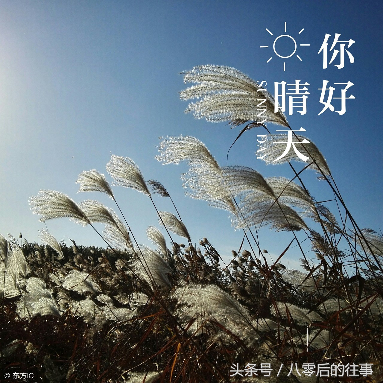 娲皇四季听禅音