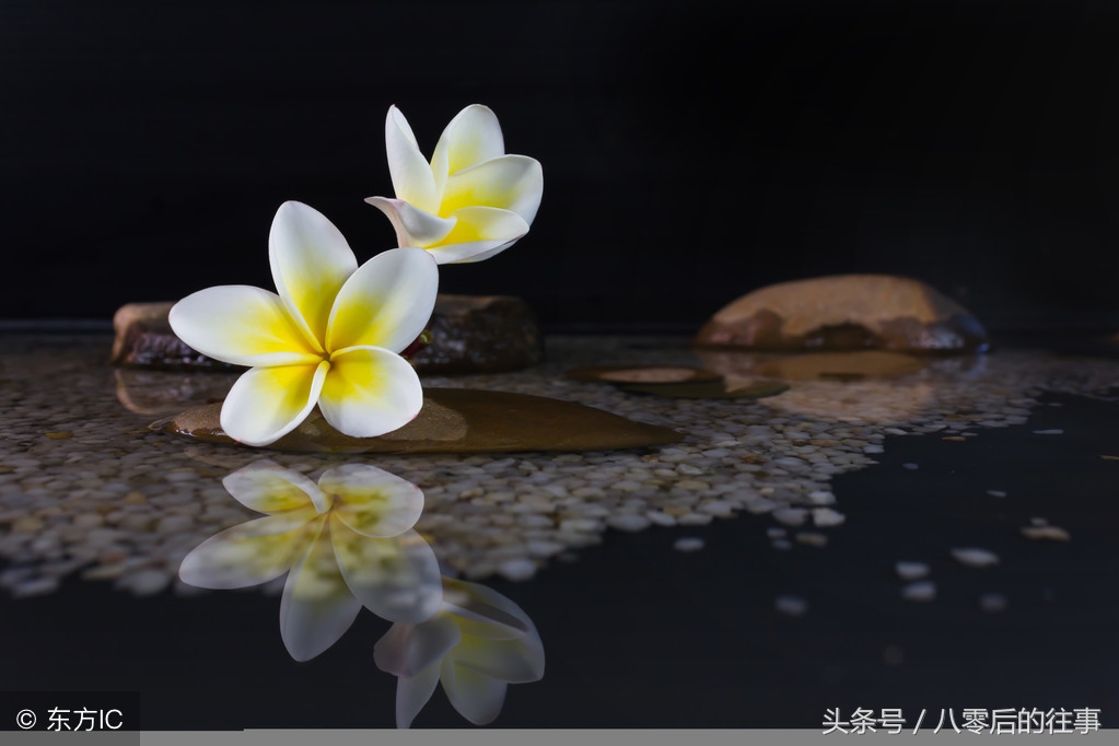 娲皇四季听禅音
