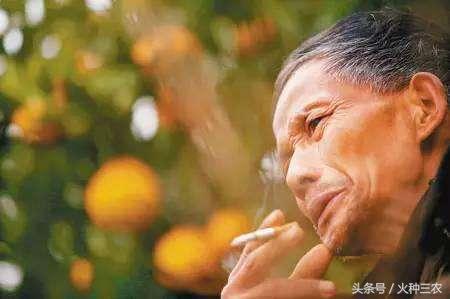 2018水果行业一片惨淡，果农如何在夹缝中求生存？