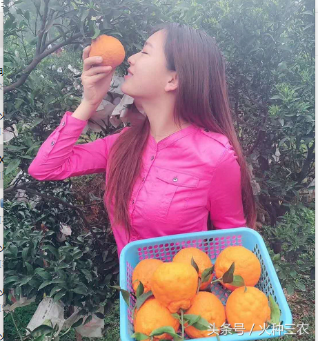 2018水果行业一片惨淡，果农如何在夹缝中求生存？