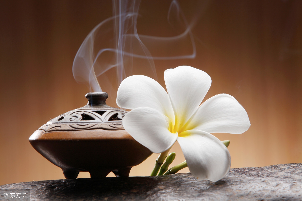 关于菩提的禅意诗词3