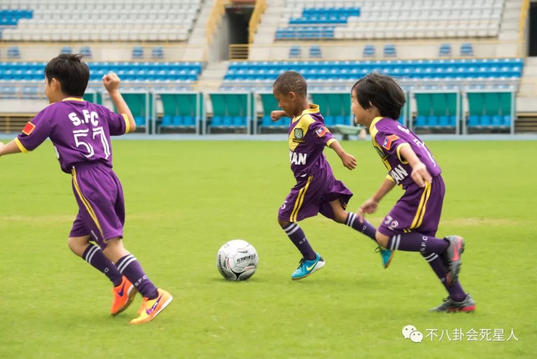 大佬们一起讨论世界杯(国足为啥进不了世界杯？白岩松金句揭真相，比日本差距岂止30年)