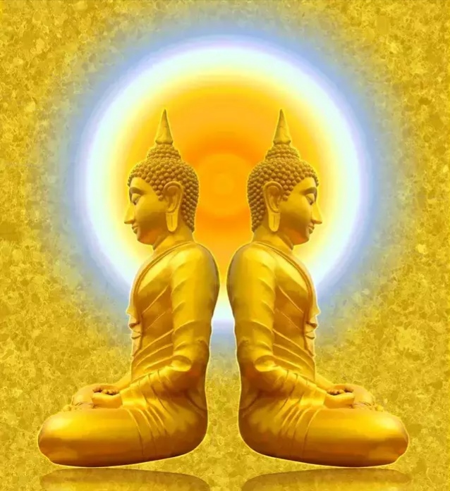 菩提树的由来_菩提树与佛教的渊源